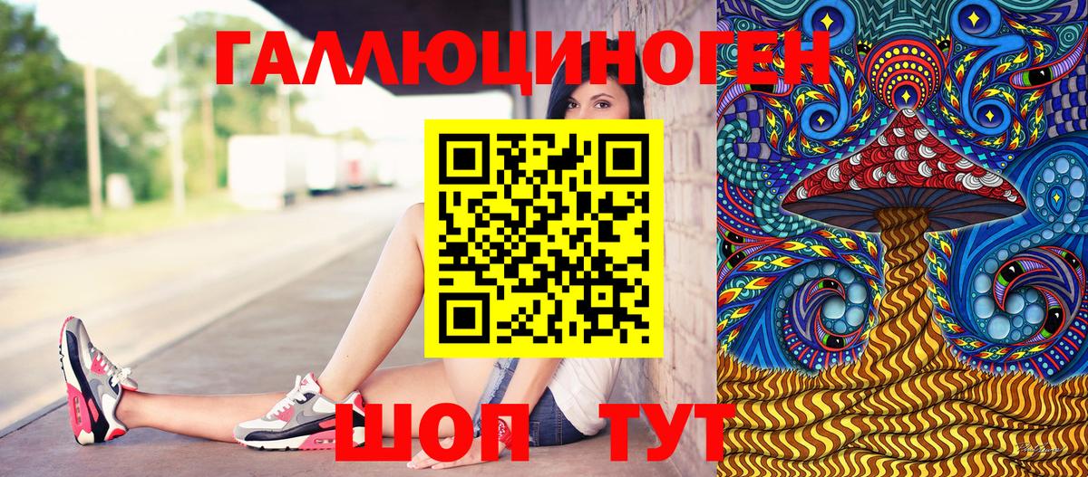 Галлюциногенные грибы Psilocybe  Вход с VPN  Нижний Новгород  Галлюциногенные грибы Psilocybine cubensis 